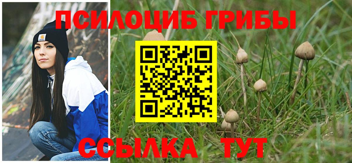 Псилоцибиновые грибы GOLDEN TEACHER  Вход с VPN  Алейск 